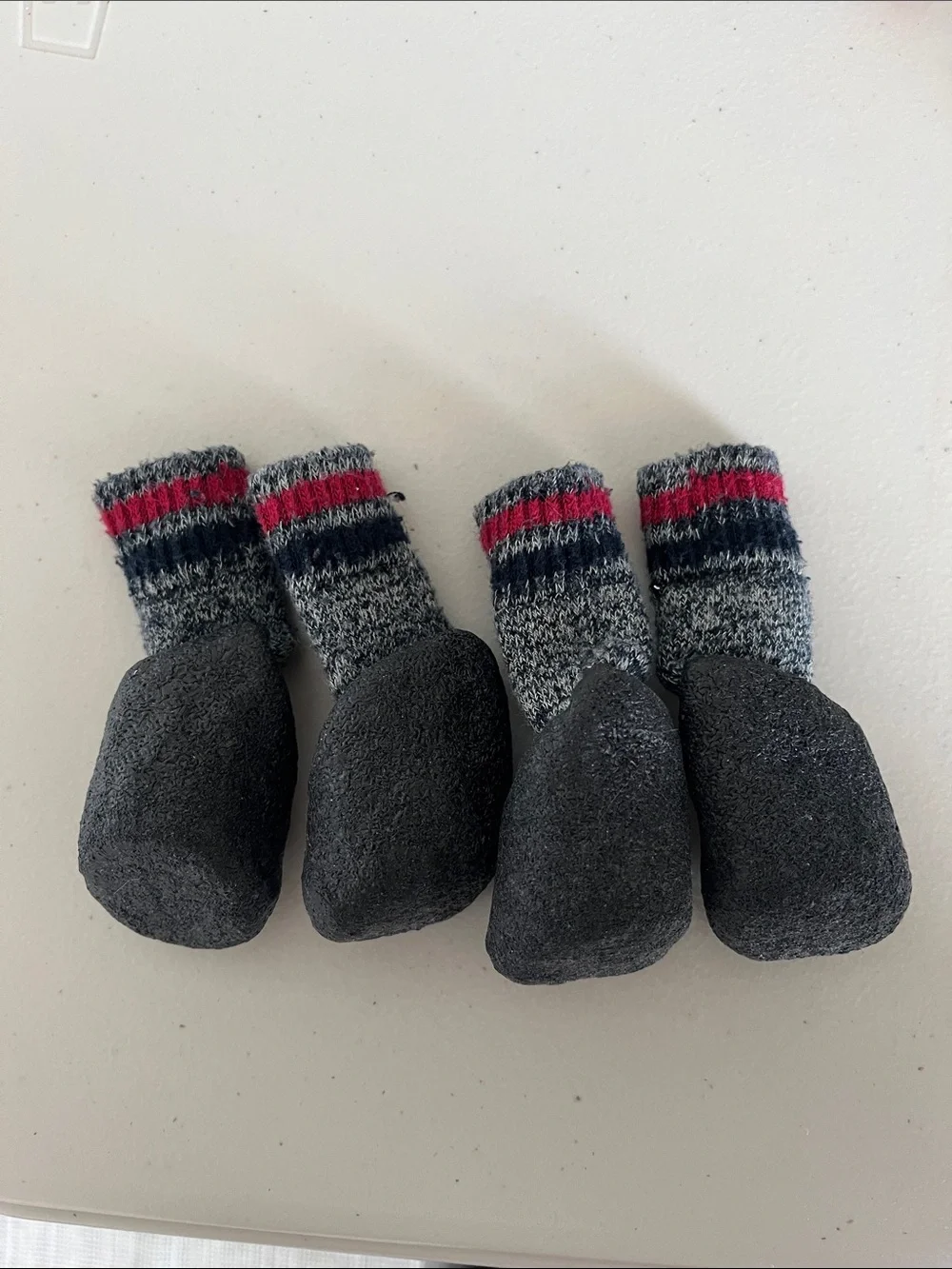 Dog Sock Booties